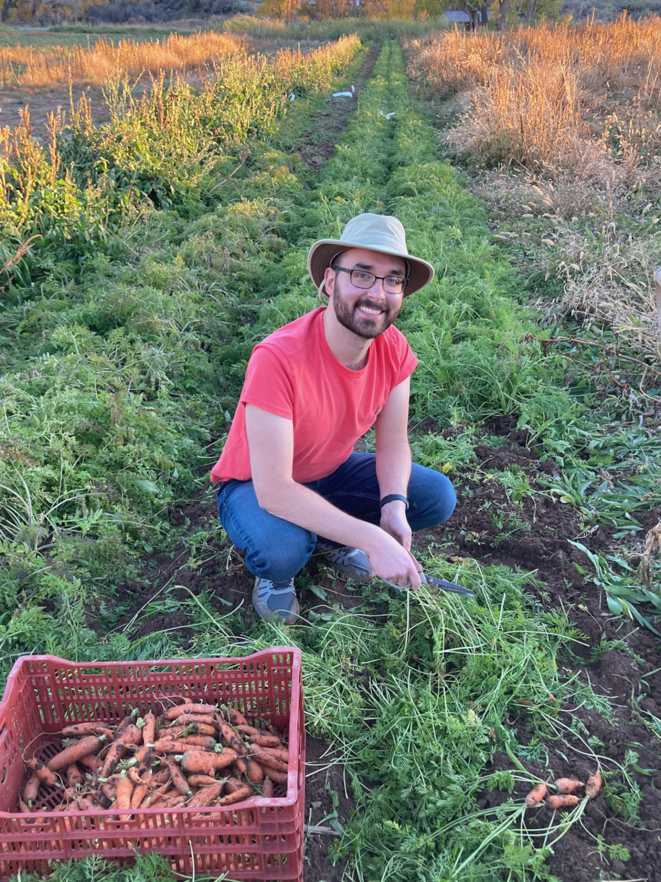 Jake Herb picking carrots on a farm/