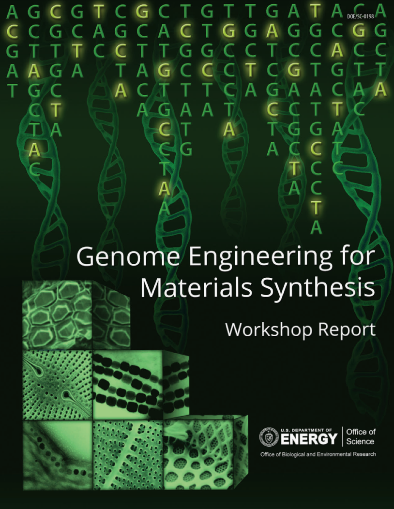 Genome Engineering for Material Synthesis cover page