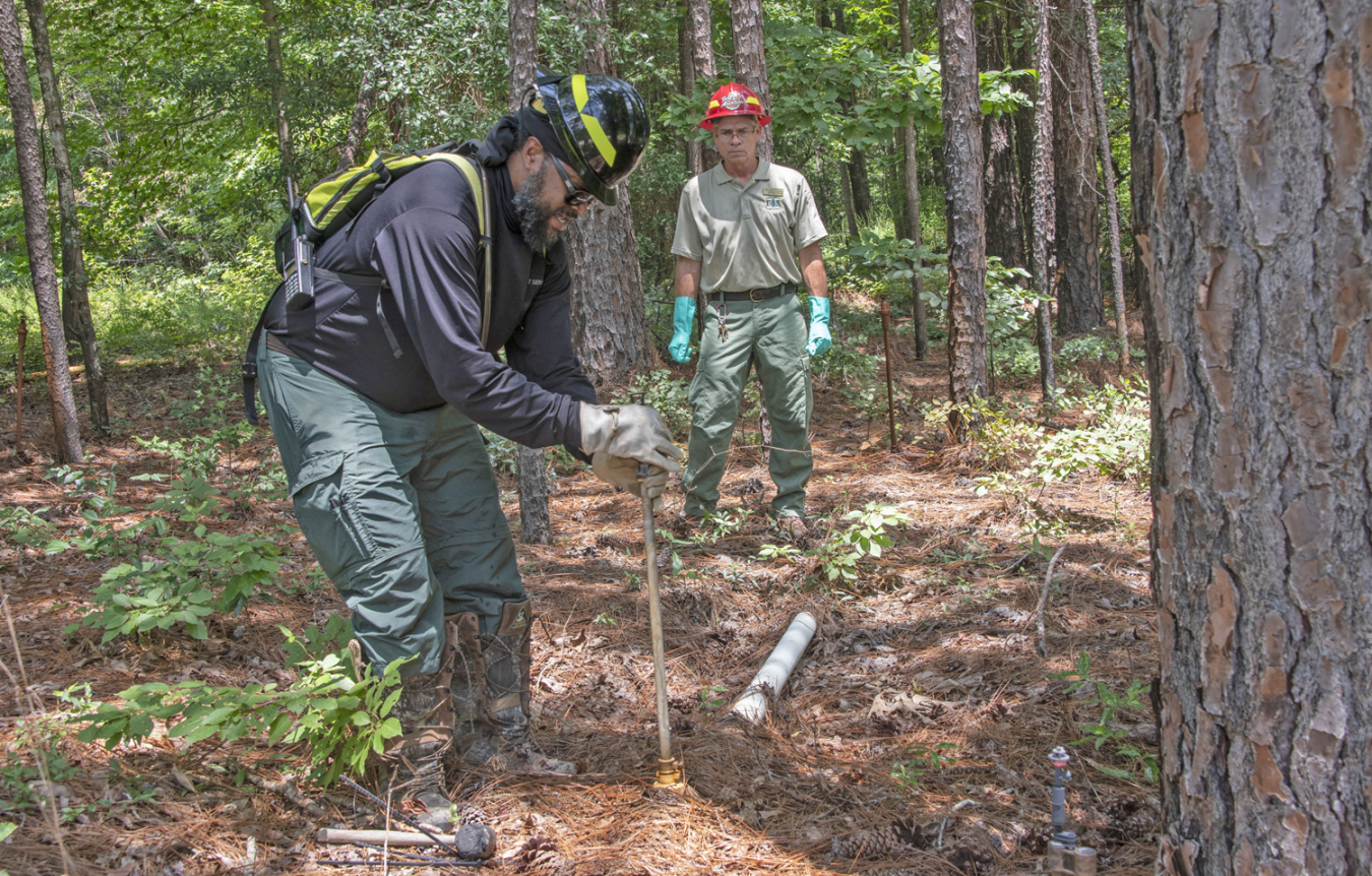 At the Savannah River Site, U.S. Forest Service employees Secunda Hughes, left, civil engineering technician, and Andrew Thompson, forester, inspect irrigation piping and sprinkler heads, part of 62 acres of pine trees used to safely disperse tritium into the earth’s atmosphere and away from local waterways in a process called phytoremediation.