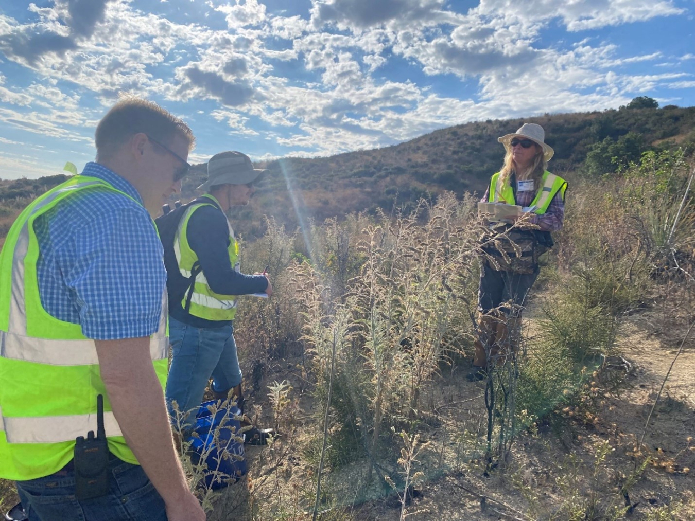 EM staff members perform seed collection and preservation efforts with.U.S. Fish and Wildlife Service staff for Braunton’s milk-vetch, an endangered short-lived perennial plant with a natural habitat on DOE’s Energy Technology Engineering Center site.