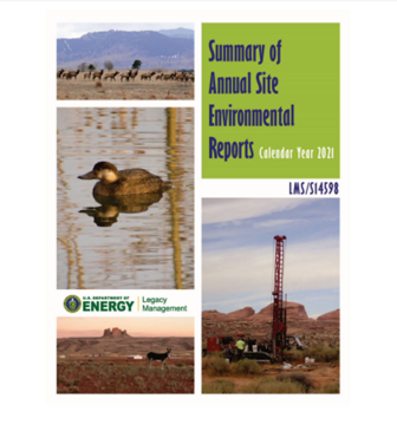 ASER publication