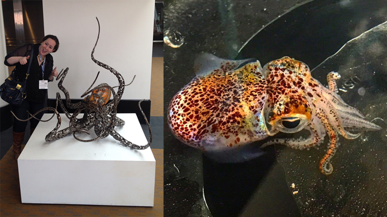 Nina Joffe stands next to a sculpture of a Hawaiian bobtail squid and gives a double thumbs up next to a photo of a Hawaiian bobtail squid