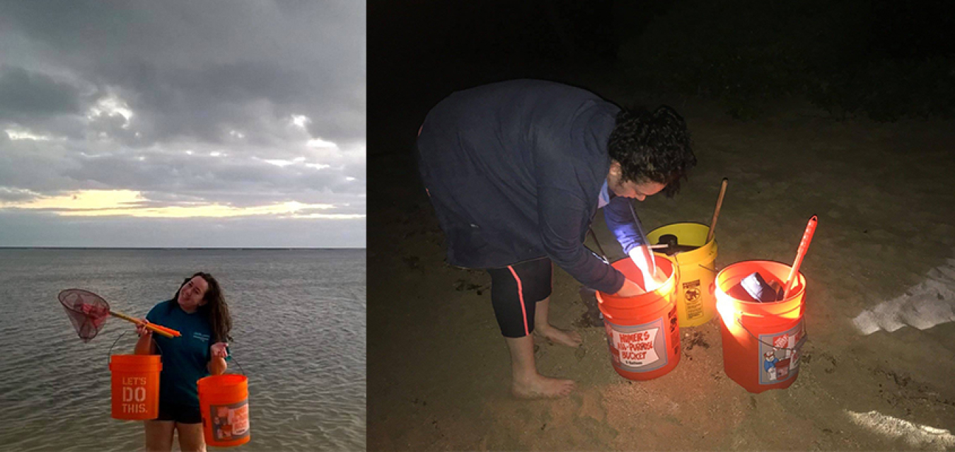 Nina Joffe stands in front of a body of water, holding a net and two buckets next to a photo of Nina bending over three buckets on a beach at night.