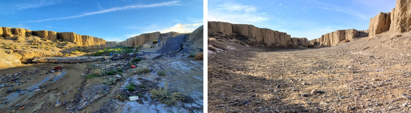 Many Devils Wash before and after.jpg