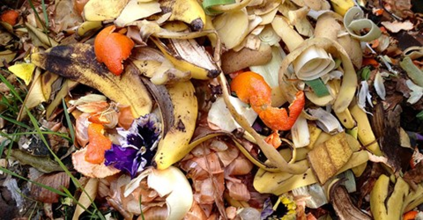 a photo of kitchen scraps