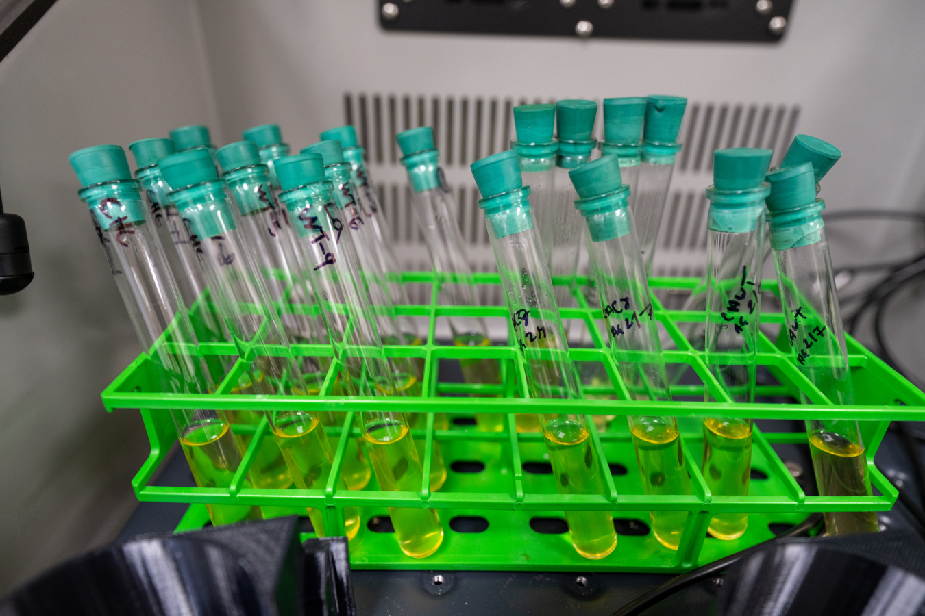 a container holder a selection of test tubes.