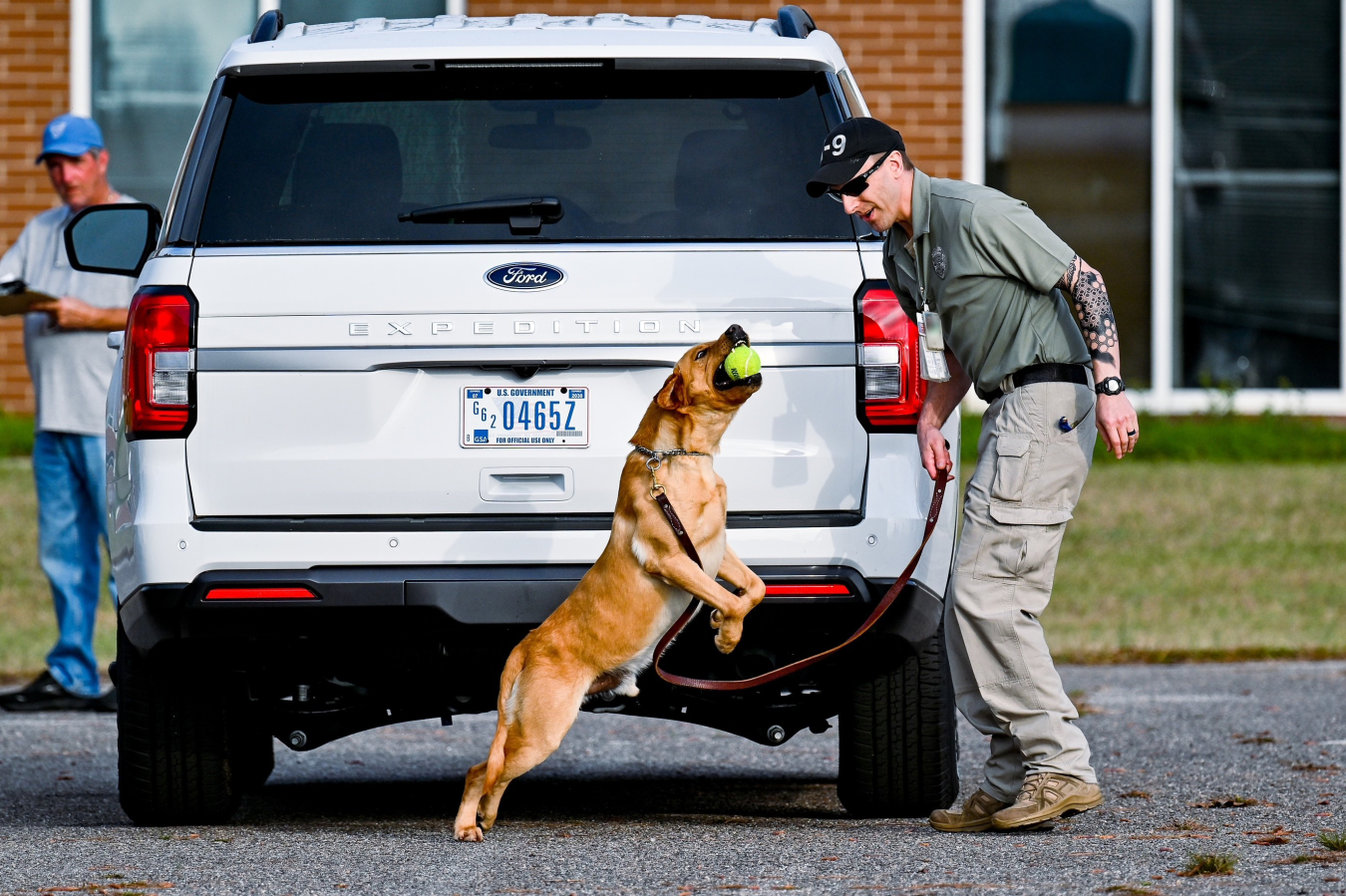 Security Police Officer Ryan Brady, a Centerra canine handler at Savannah River Site (SRS), and his canine, “Dogo,” conduct an explosives search on a vehicle at the United States Police Canine Association Region 2 Spring Detection Trials. The SRS canines are trained to sit when they detect the odor of potential explosive materials and are rewarded with a toy after a successful detection.