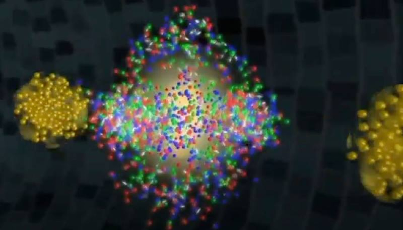 Conditions set up in the earliest stage of collisions of gold ions play the greatest role in causing fluctuations in the flow of particles, with more particles emerging along the reaction plane than perpendicular to it.