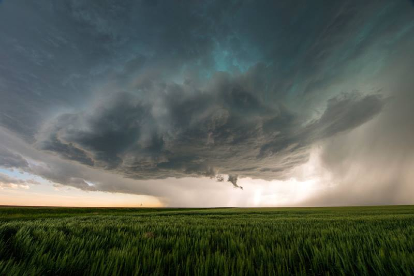 Scientists characterized secondary organic aerosols over an agricultural field in the Southern Great Plains, unveiling new molecular-level details about the composition of aerosols found during the daytime versus those found during the nighttime.