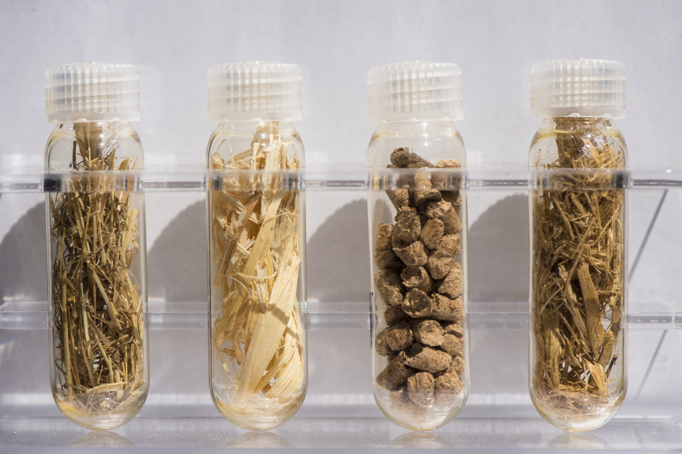 Preprocessed biomass samples. Photo courtesy of NREL.