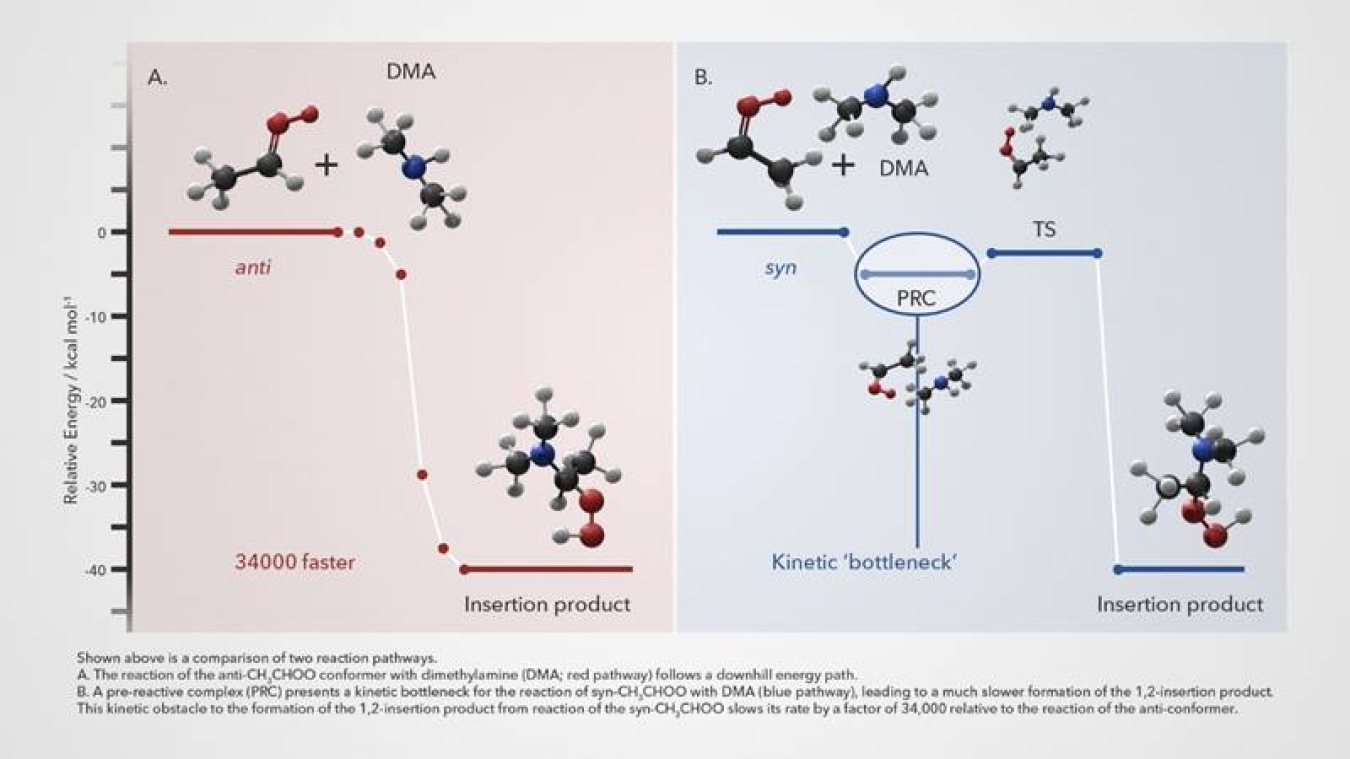 Two reaction pathways. Left: the reaction of anti- CH3CHOO conformer with dimethylamine (DMA) follows a downhill energy path. Right: a pre-reactive complex (PRC) presents a kinetic bottleneck for the reaction of syn- CH3CHOO with DMA.