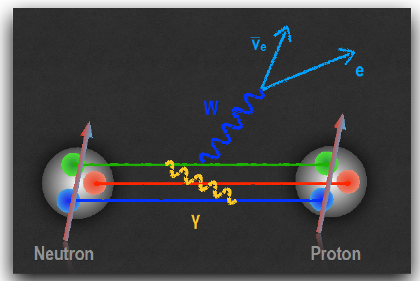 A spinning neutron disintegrates into a proton, electron, and antineutrino when a down quark in the neutron emits a W boson and converts into an up quark. The exchange of quanta of light (γ) among charged particles changes the strength of this transition.