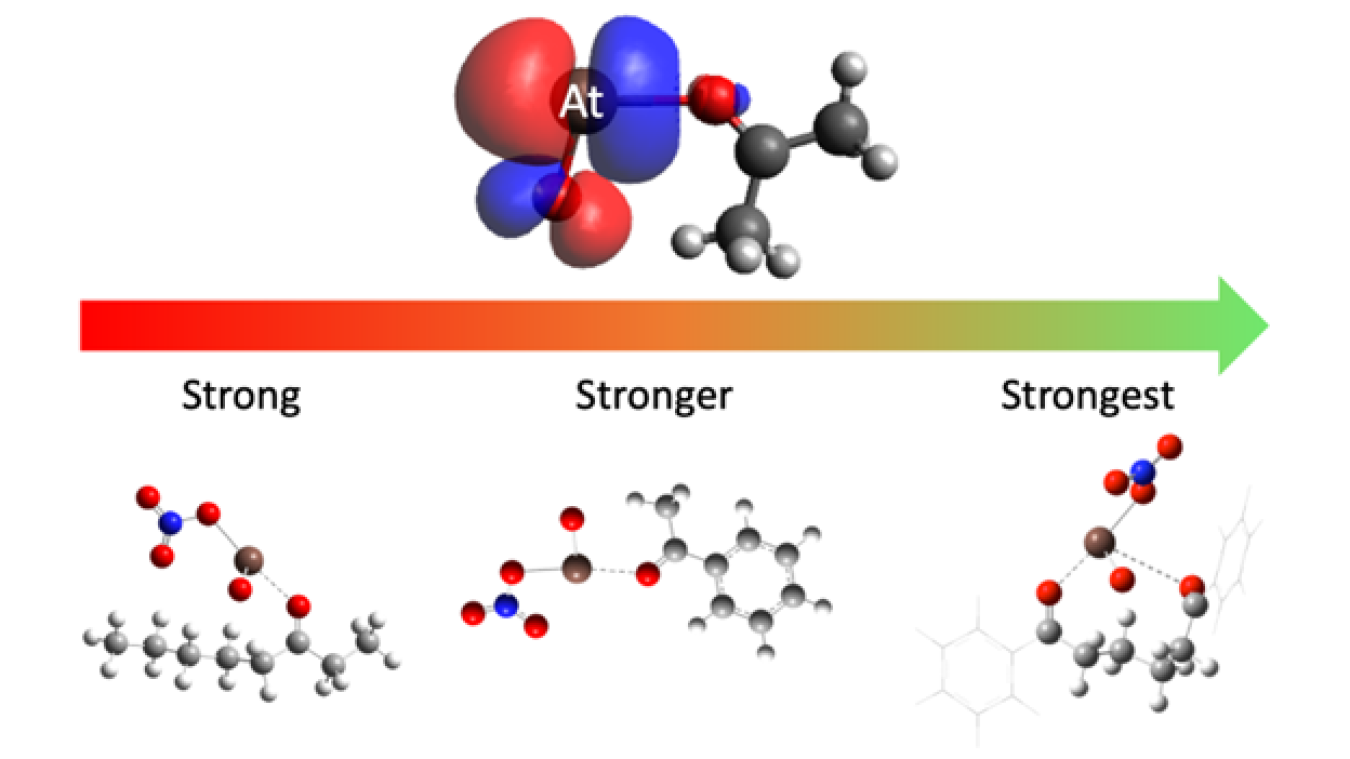 The binding of At-211 with mono- and diketones with different bond strengths.