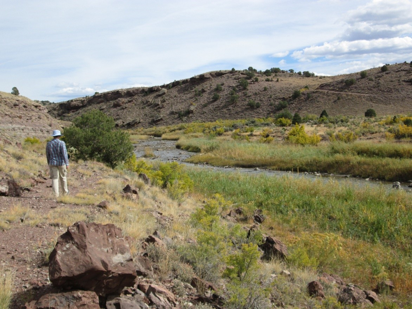 Dolores River