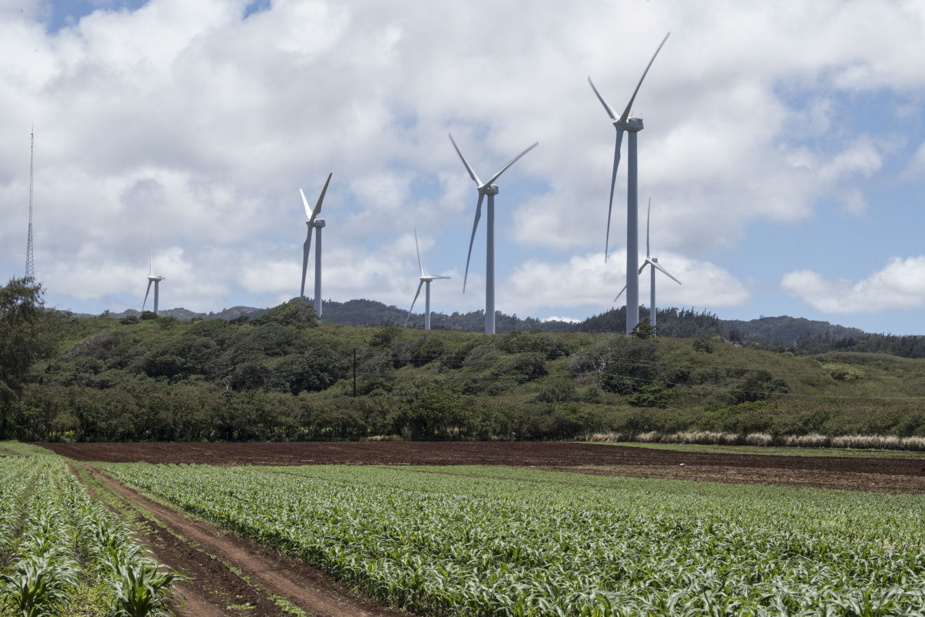 Wind turbines against mountains and an agricultural field.