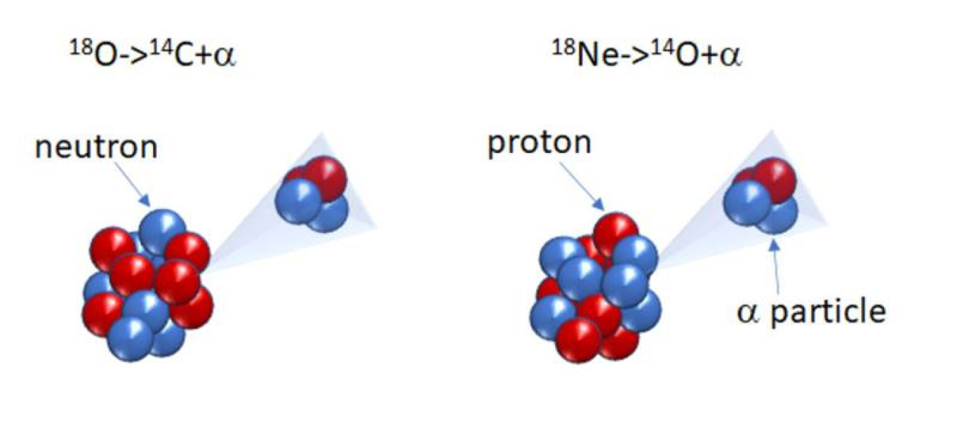 Mirror nuclei, such as 18O and 18Ne, have the same number of protons and neutrons (18), but while 18O has 8 protons and 10 neutrons 18Ne has 10 protons and 8 neutrons. When they absorb enough energy, they can decay and emit an alpha particle (2 protons and 2 neutrons).