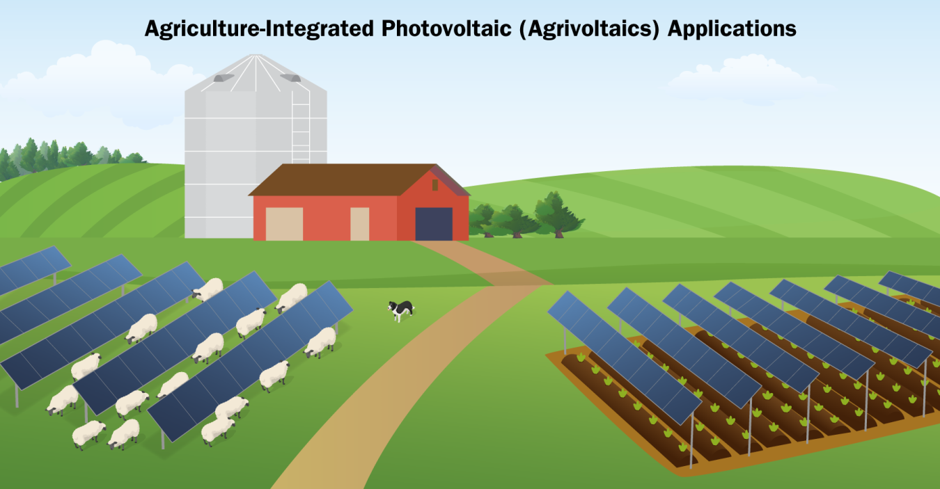 Graphic showing examples of agriculture-integrated solar photovoltaics.