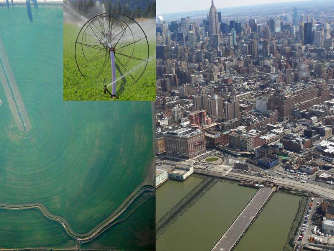 Irrigation and urbanization can affect rainfall locally and remotely in different ways. Composite photograph of irrigated fields and a cityscape.