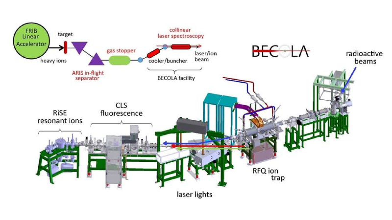 The BEam COoler and LAser spectroscopy (BECOLA) facility at the Facility for Rare Isotope Beams (FRIB) allows high-precision measurements of nuclear charge distributions.