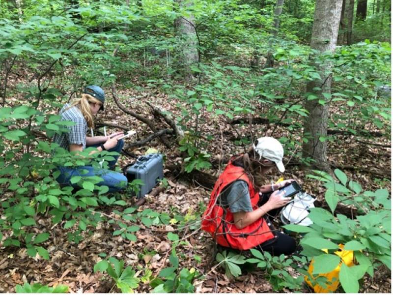 Two research technicians measure carbon dioxide and methane fluxes from transplanted soil monoliths along a tidal creek at the Smithsonian Environmental Research Center in Edgewater, Maryland.