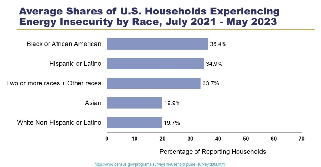 The Household Pulse Survey