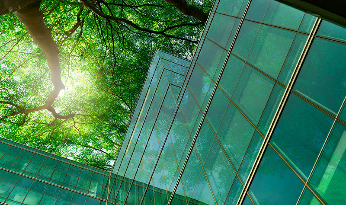 View of the sky looking up through tree branches, with a modern glass building in the foreground.