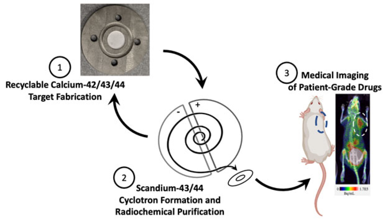 Summary of the production process for radioisotopes of scandium using recyclable, enriched calcium.