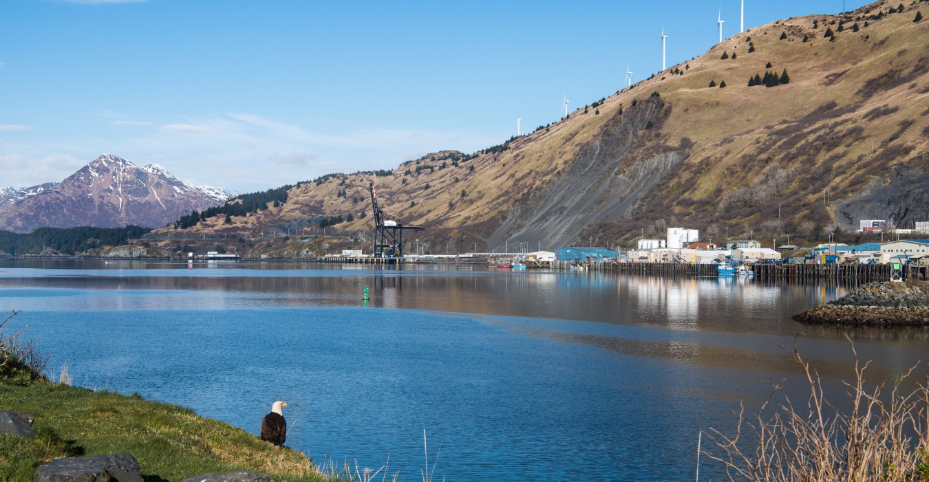 A bald eaglelooks over St. Paul Harbor in Kodiak, Alaska with turns on the ridgeline. (Photo by Dennis Schroeder/NREL)