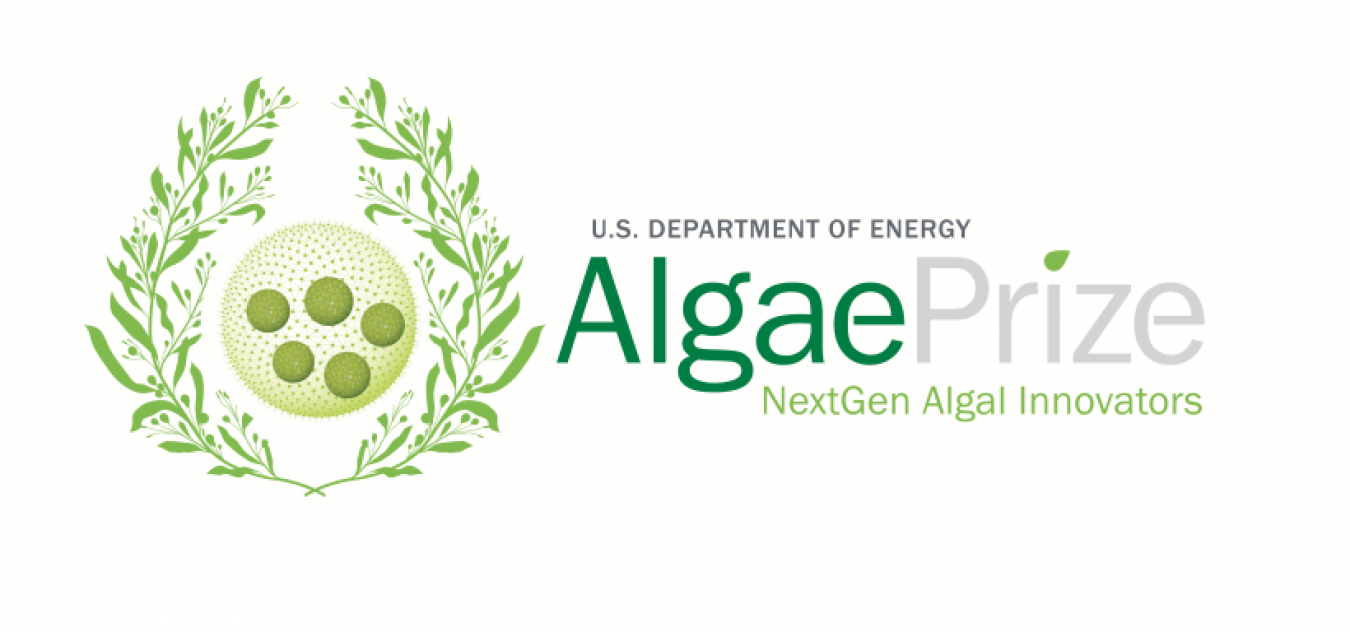 AlgaePrize sizing CMYK