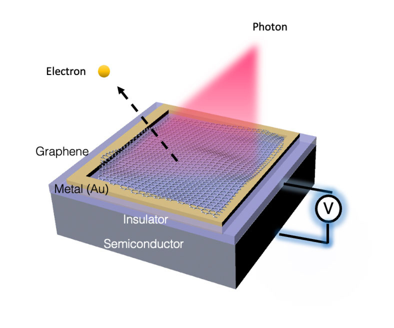 An insulator and graphene coating on a semiconductor changes the energy required for electrons to escape the material. This energy can typically be provided by a photon illuminating the structure.