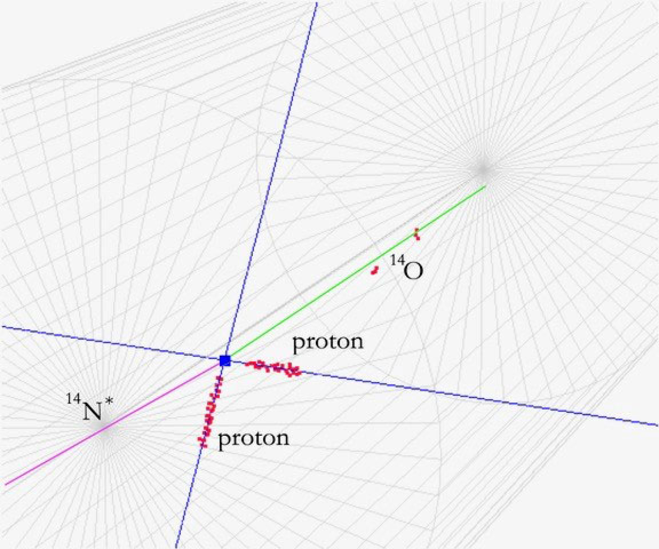 Visualization of a (deuteron, helium-2) reaction on an oxygen-14 nucleus. The Active-Target Time Projection Chamber observes tracks from two protons resulting from the decay of helium-2 while the S800 magnetic spectrometer detects nitrogen-14.