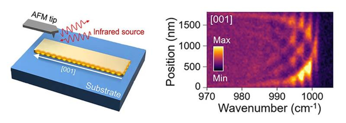 The tip of an atomic force microscope (AFM) focuses infrared (IR) light from an X-ray beamline onto a tiny spot, enabling researchers to detect the lattice vibrations of an ultrathin, ribbon-like nanocrystal (yellow).