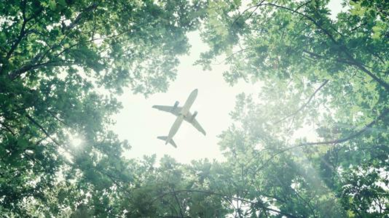 Airplane Through Trees SAF