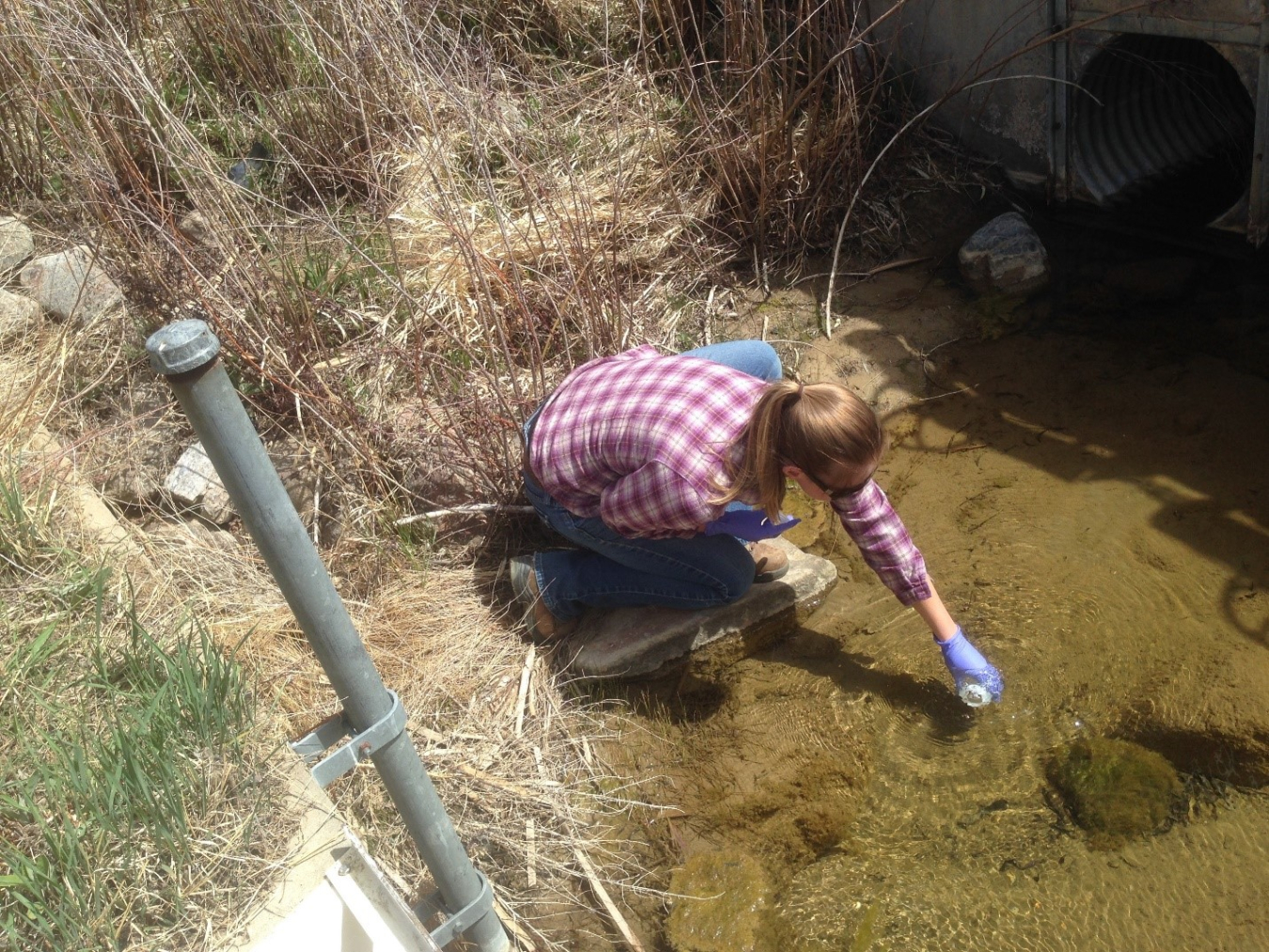 LM Sampling