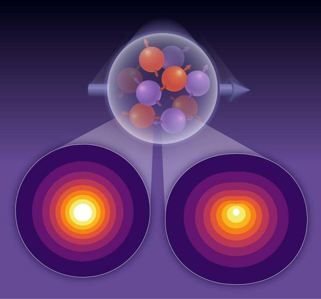 A view inside a proton moving at nearly the speed of light toward the viewer with its spin pointing horizontally shows differences in the spatial distributions of the momentum of up (left) and down (right) quarks—white is high; violet is low.