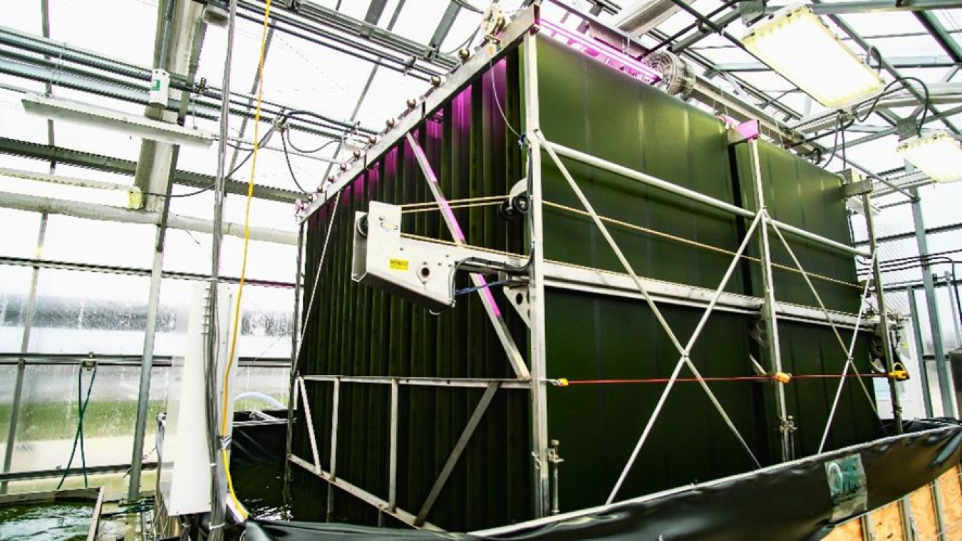 NREL phosphorus