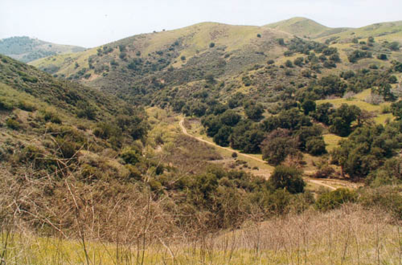 Ahmanson Ranch