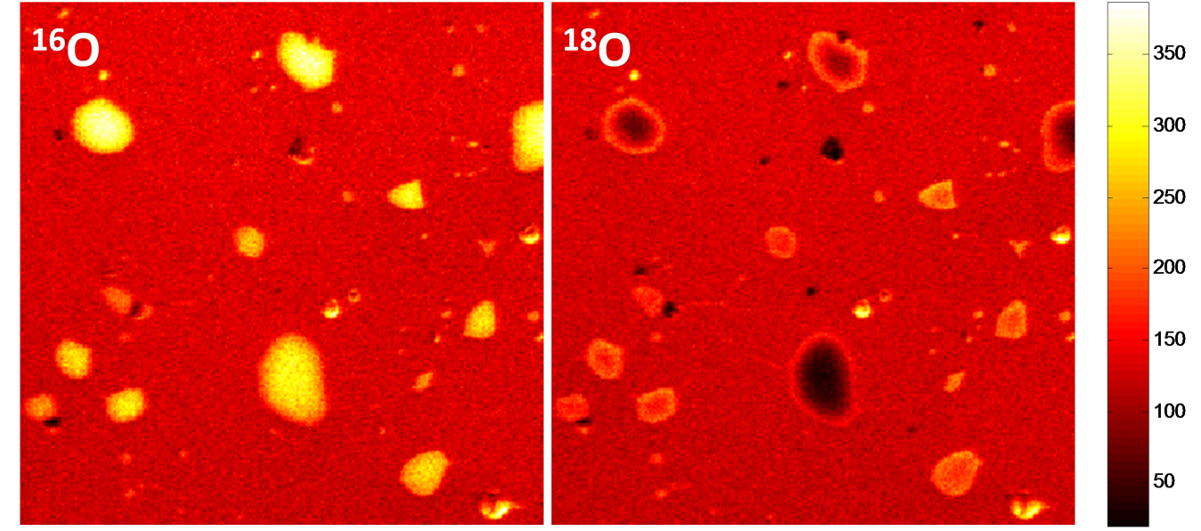 Side-by-side images of Secondary Ion Mass Spectrometry maps.