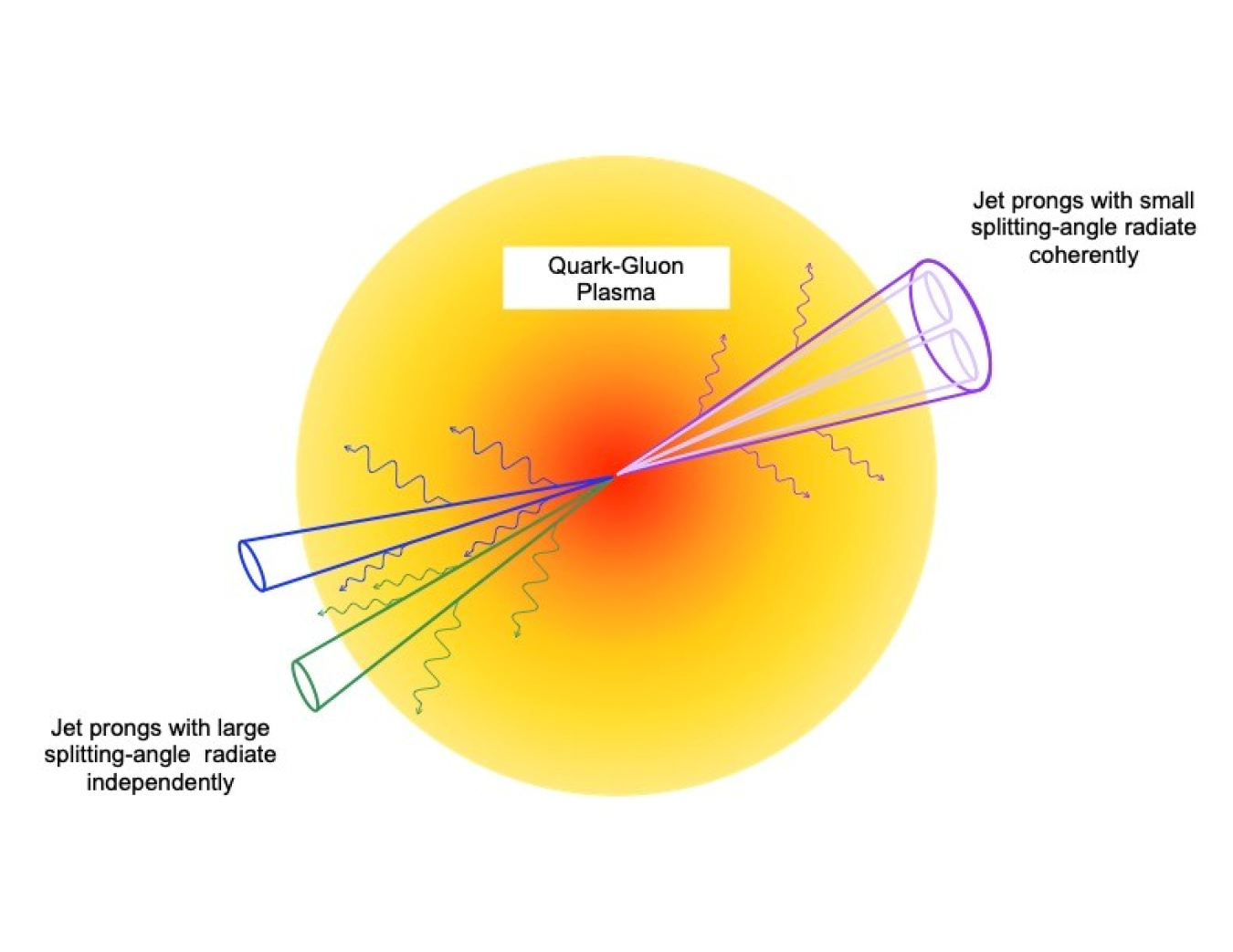 For jets of particles within the quark-gluon plasma created in a heavy-ion collision, jets with a wide splitting-angle radiate energy independently, losing more energy than jets with a narrow splitting-angle that radiate energy coherently.