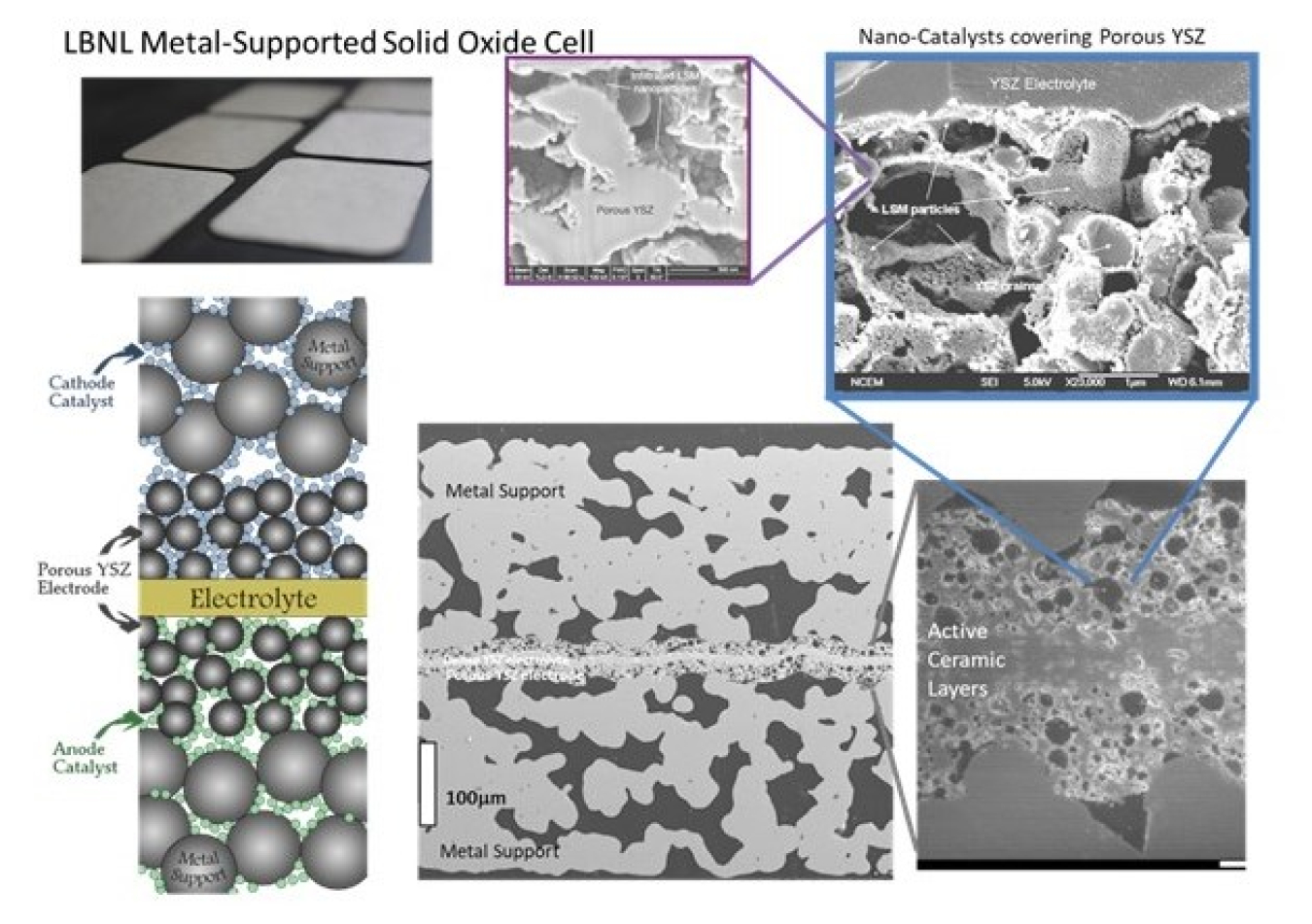 Various images of a cell.