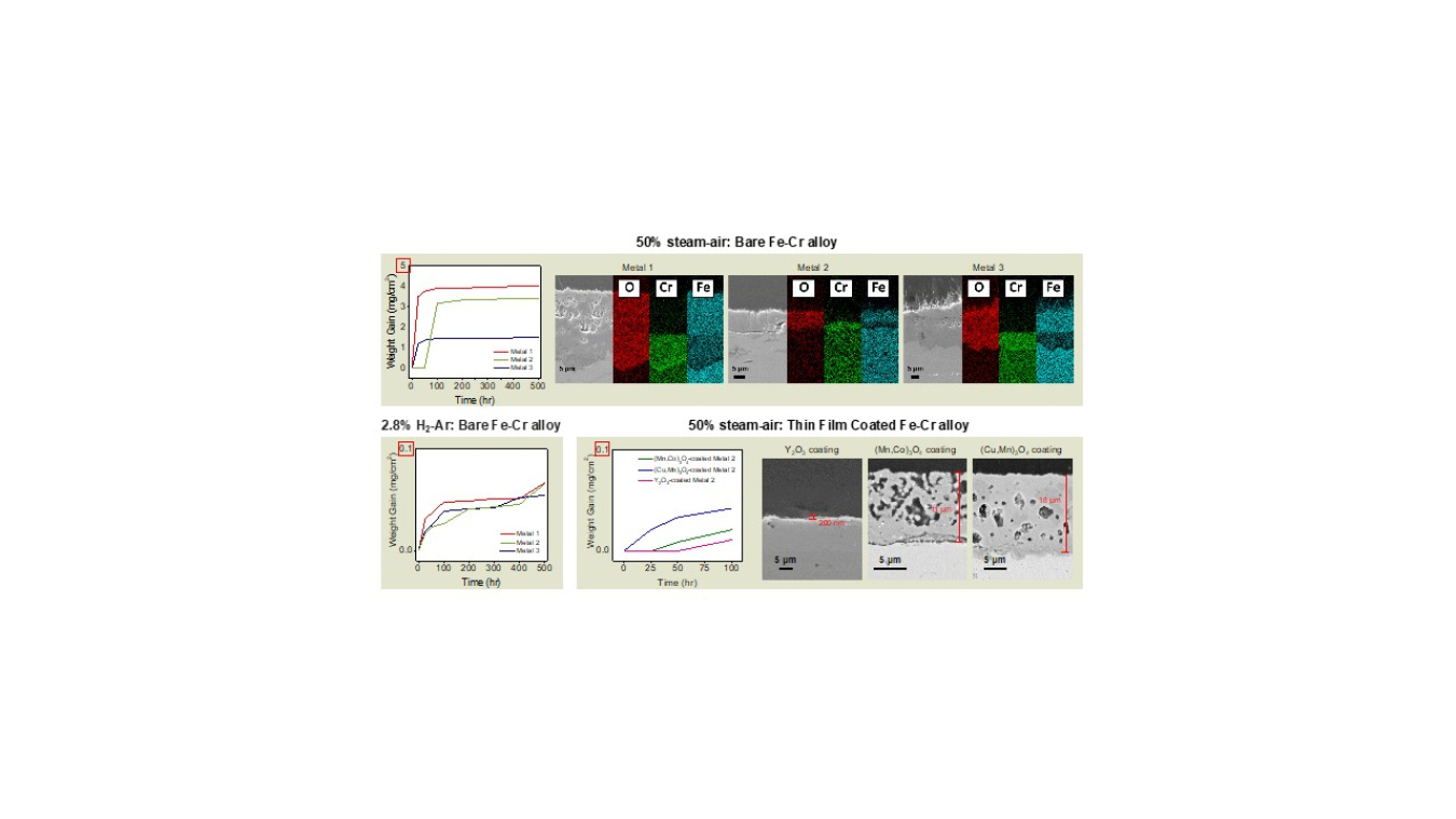 A group of SEM images.
