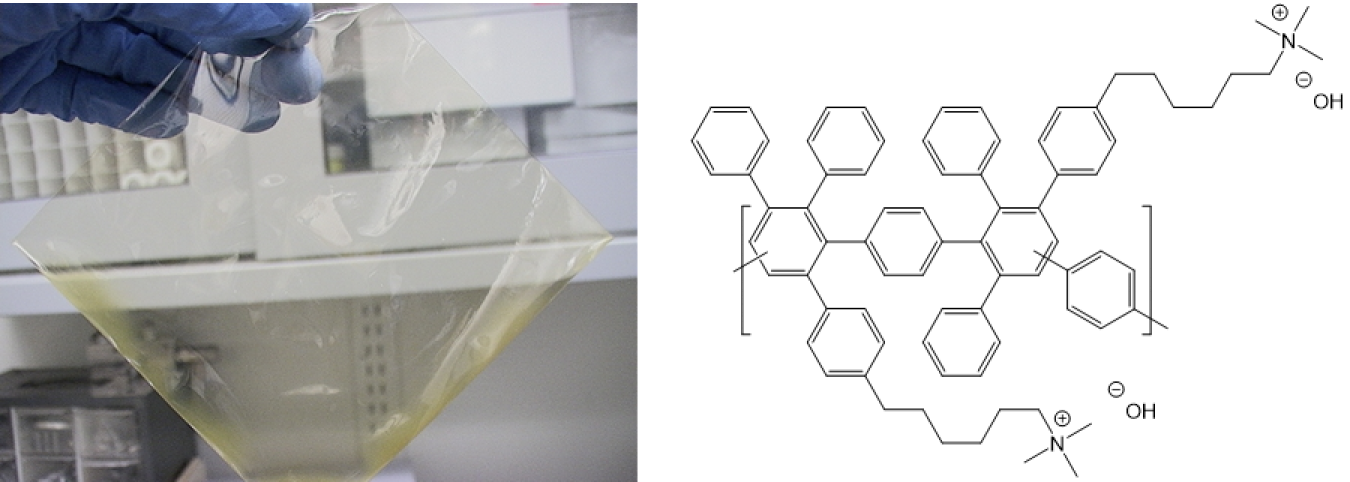 A photo ofa hand wearing a latex glove holding a square-cut, clear membrane.
