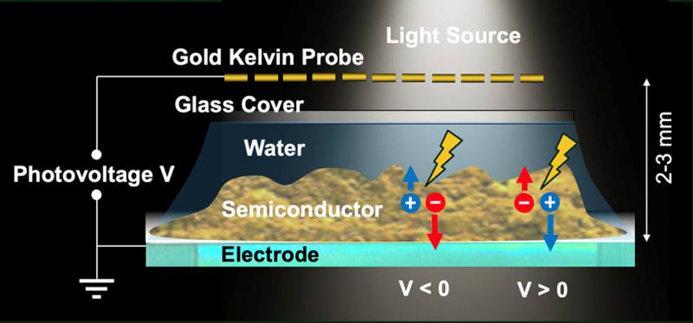 A semitransparent gold Kelvin probe measures the photovoltage of an illuminated semiconductor film in contact with an electrode and a water solution. The photovoltage can be positive or negative, depending on the direction of charge transport.