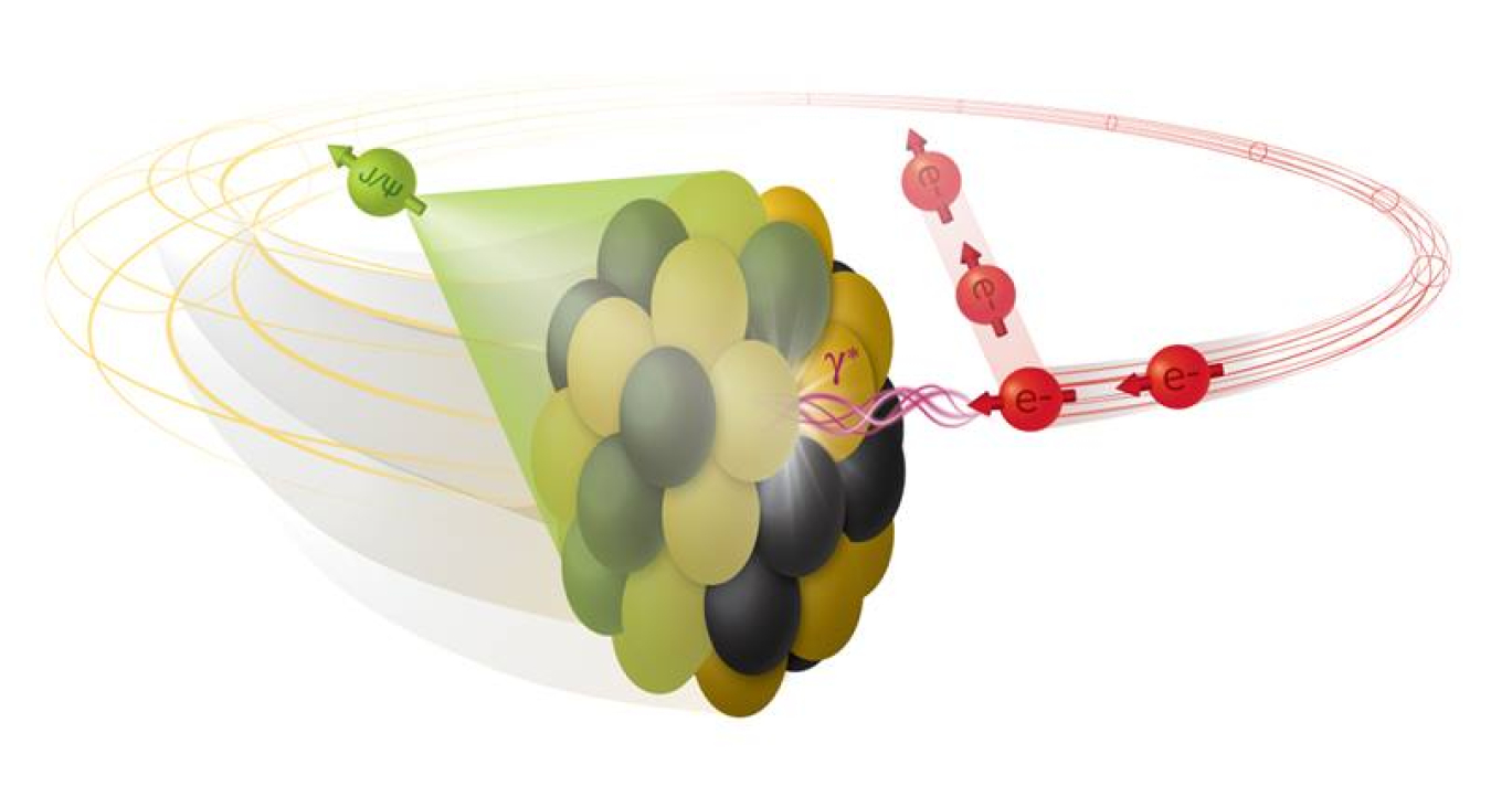 An electron collides with a deformed nucleus and produces a single vector meson (J/Psi). The green cone indicates that the J/Psi production carries information about the size and shape of the nucleus, as well as its internal structure.