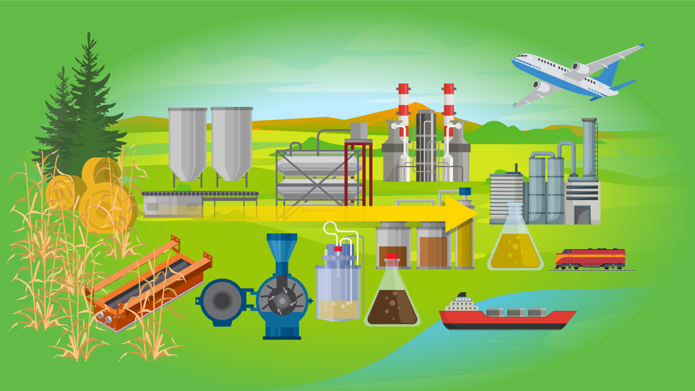 a graphic showing how feedstocks can be used for fuel