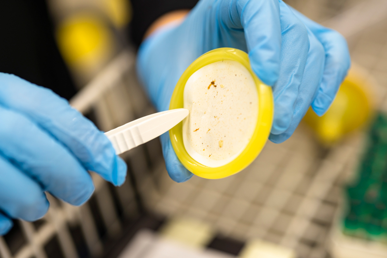 A lab worker collects and analyzes eDNA and eRNA samples collected from a waterway near a hydropower facility.