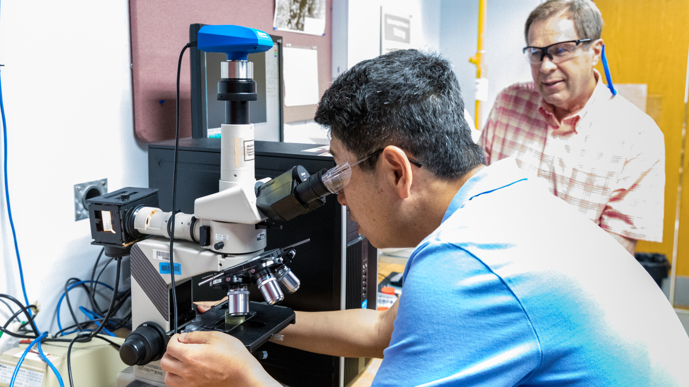 a photo of a person looking into a microscope