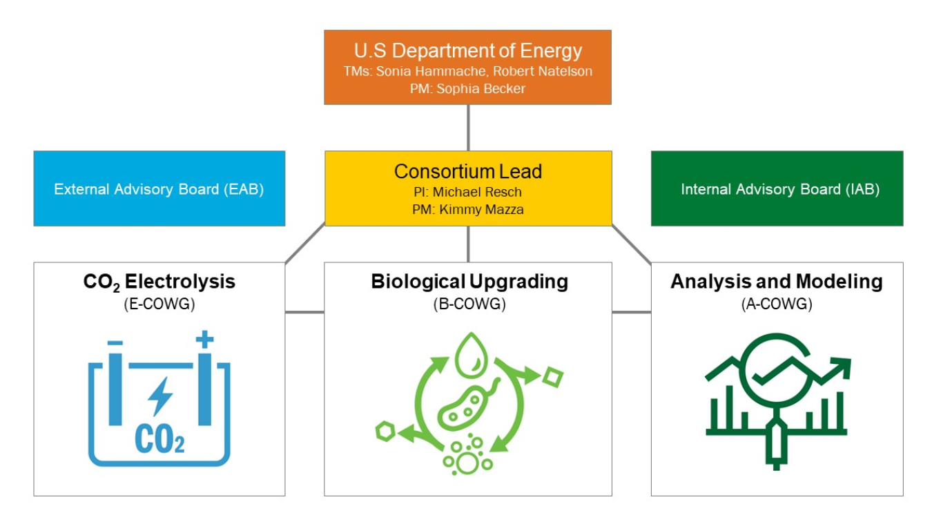 CO2Rue-leadership-chart