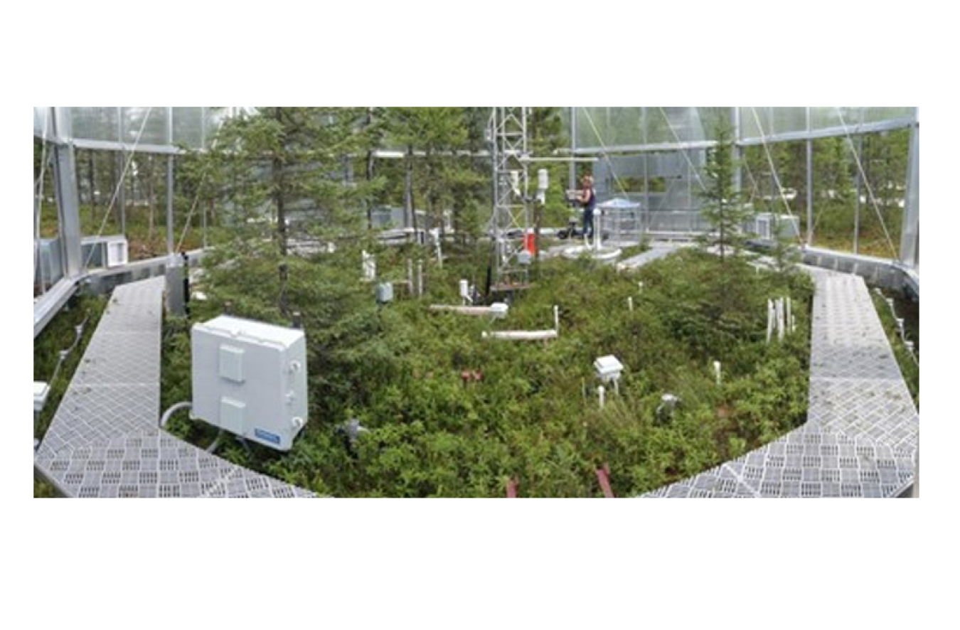 The interior of the SPRUCE experimental chamber showing instruments to monitor climate changes.