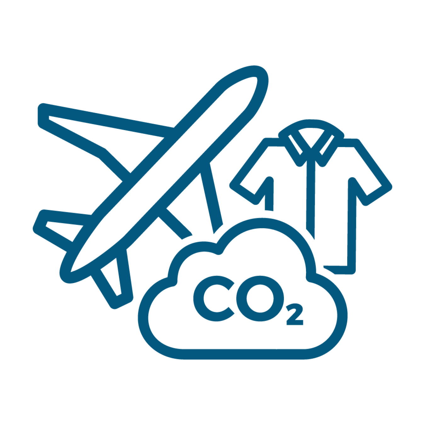 An icon of an airplane, shirt, and cloud labeled CO2